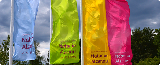 Stadtfest alzenau 2016